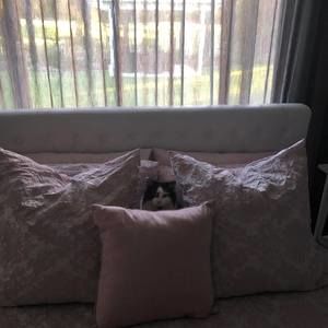 Meet your Posher, Perry